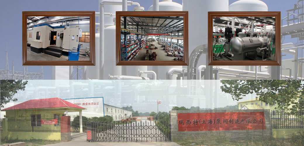 瑞西特上海泵阀厂房图片